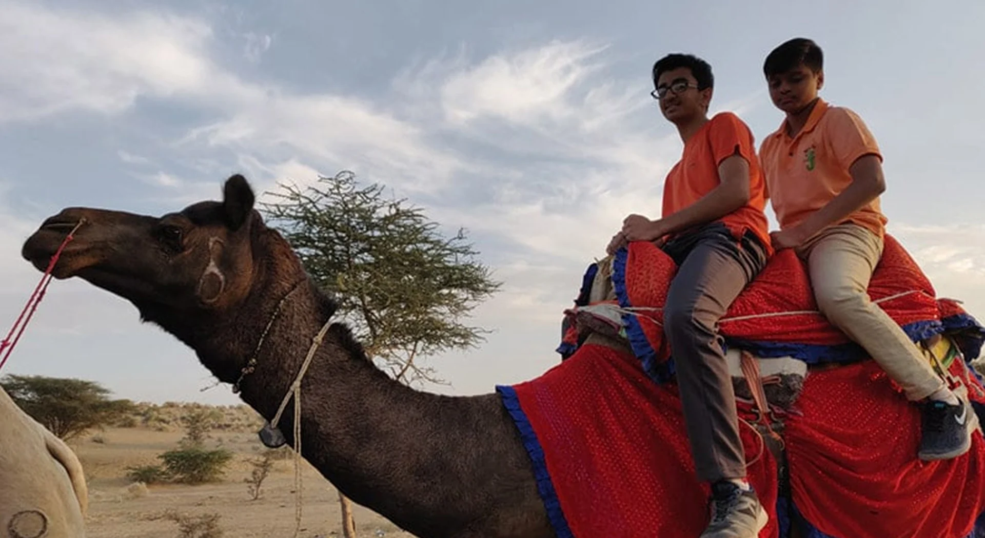 Trip to Jodhpur and Jaisalmer - Grade 7 & 8 1