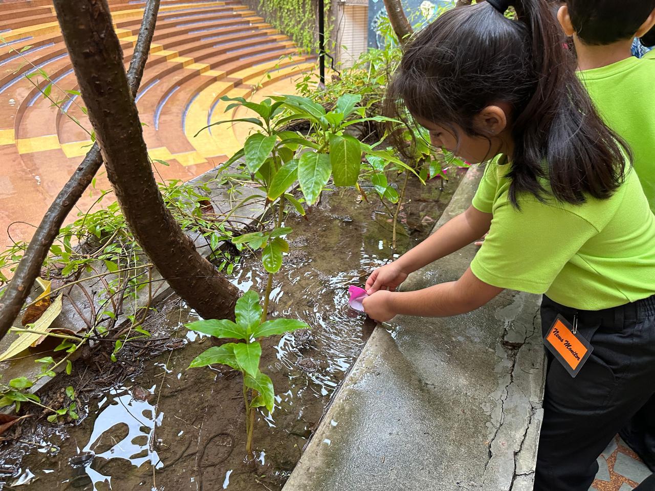 Grade 1 ICSE  Make a Splash with Paper Boats