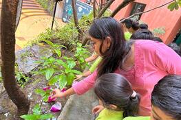 Grade 1 ICSE  Make a Splash with Paper Boats