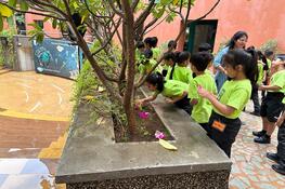 Grade 1 ICSE  Make a Splash with Paper Boats