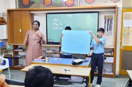 ICSE Expert Intervention