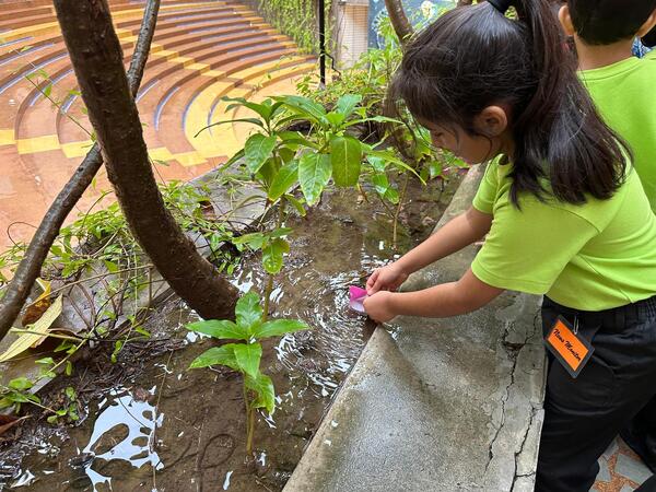 Grade 1 ICSE Make a Splash with Paper Boats, photo 1