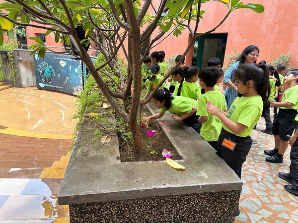 Grade 1 ICSE Make a Splash with Paper Boats, photo 3