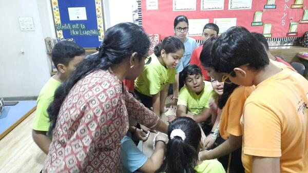 ICSE Expert intervention with IAS, photo 1