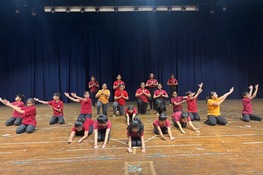 Grade 4 to 6 -  Annual function 